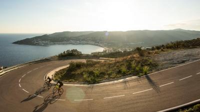 Trek Trikot Trek Circuit LTD XXL Deep Dark Blue/Viper R Produktbild 8