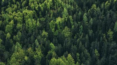 Trek Trikot Trek Circuit L Viper Red Produktbild 15