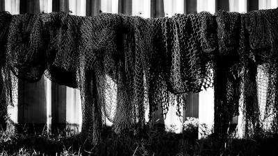 Bontrager Flaschenhalter Bontrager Right Side Load Recycled Produktbild 2