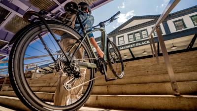 Trek FX+ 7 SO EU L Lichen Green Gloss Produktbild 6