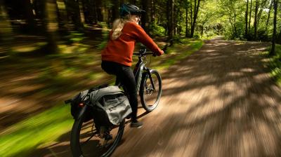 Trek Powerfly FS+ 4 EU L 29 Mercury/Dark Web Produktbild 5