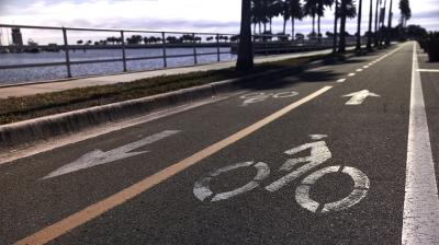 Trek District+ 4 LS Coaster M Pennyflake 400 Produktbild 2