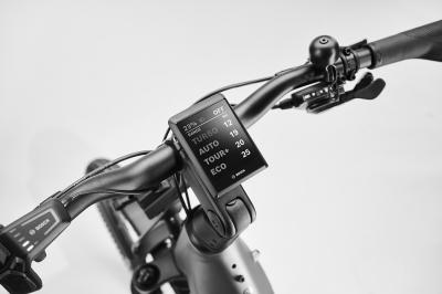 Diamant Suvea Trip Pro LS 600 L-XL Lehmbeige Produktbild 2