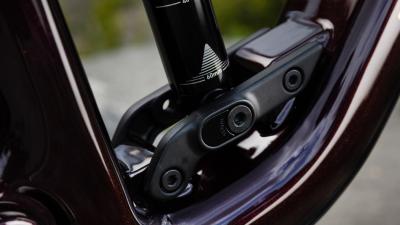 Trek Fuel LX 9.8 EA90 M Gloss Chameleon Green /Matte Bl Produktbild 2